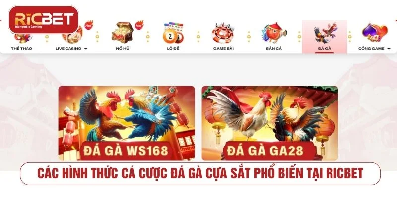Đá Gà Cựa Sắt RICBET Đỉnh Cao Cùng Tỷ Lệ Thưởng Hấp Dẫn Đá gà cựa sắt có nhiều hình thức cược khác nhau