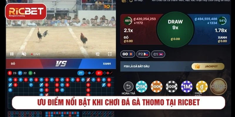 Khám Phá Đấu Trường Đá Gà Thomo RICBET Kịch Tính Sảnh đá gà Thomo cam kết cung cấp kết quả minh bạch